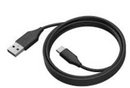 Jabra PanaCast USB Cable, USB 3.0, 2m, USB-C to USB-A