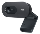 LOGITECH - WEBCAM - Logitech C505e - BLK - USB