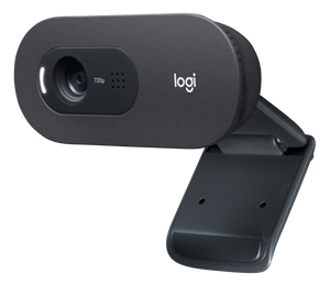 LOGITECH - WEBCAM - Logitech C505e - BLK - USB